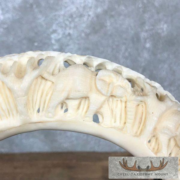 Carved Hippopotamus Tooth Safari Decor For Sale - Image 8