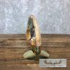 Scrimshaw Hippopotamus Tooth Safari Decor For Sale - Image 4