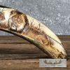 Scrimshaw Warthog Tooth Safari Decor For Sale - Image 8
