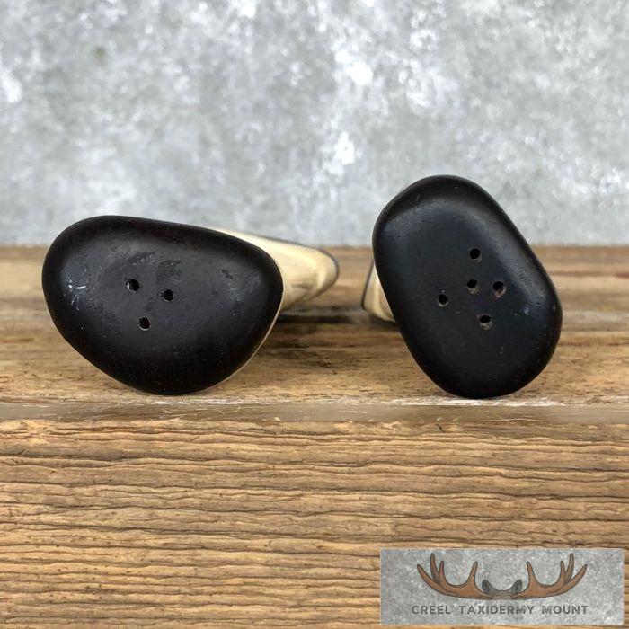 Giraffe Bone Salt Shakers For Sale - Image 8