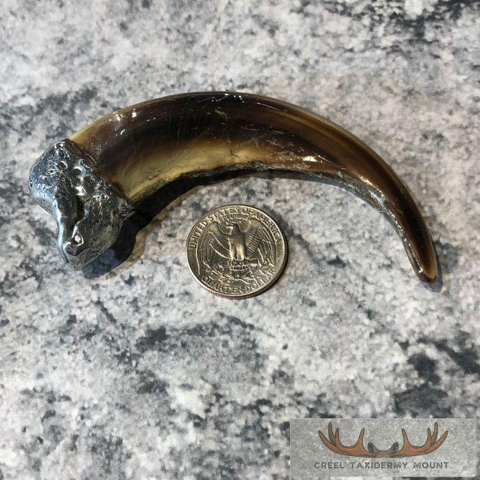 Grizzly Bear Claw Taxidermy For Sale - Image 2
