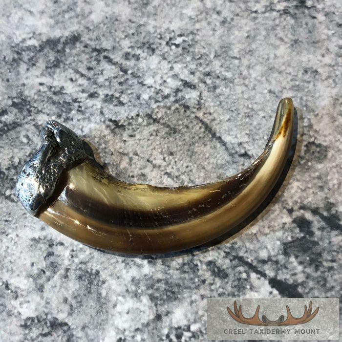 Grizzly Bear Claw Taxidermy For Sale - Image 5