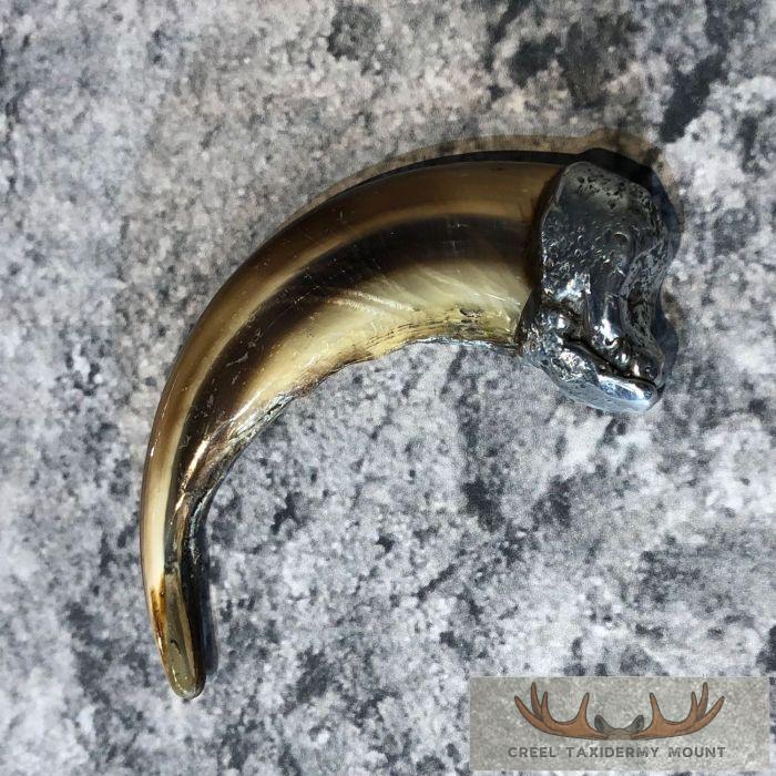 Grizzly Bear Claw Taxidermy For Sale