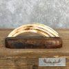 Scrimshaw Warthog Tooth Safari Decor For Sale - Image 2