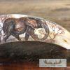 Scrimshaw Warthog Tooth Safari Decor For Sale - Image 4