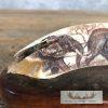 Scrimshaw Warthog Tooth Safari Decor For Sale - Image 3