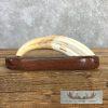 Scrimshaw Warthog Tooth Safari Decor For Sale - Image 3