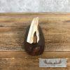 Scrimshaw Warthog Tooth Safari Decor For Sale - Image 7