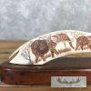 Scrimshaw Warthog Tooth Safari Decor For Sale - Image 5