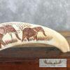 Scrimshaw Warthog Tooth Safari Decor For Sale - Image 4