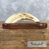 Scrimshaw Warthog Tooth Safari Decor For Sale - Image 3