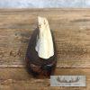 Scrimshaw Warthog Tooth Safari Decor For Sale - Image 6