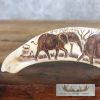 Scrimshaw Warthog Tooth Safari Decor For Sale - Image 4