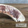 Scrimshaw Warthog Tooth Safari Decor For Sale - Image 5