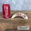 Scrimshaw Warthog Tooth Safari Decor For Sale - Image 2