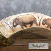 Scrimshaw Warthog Tooth Safari Decor For Sale - Image 3