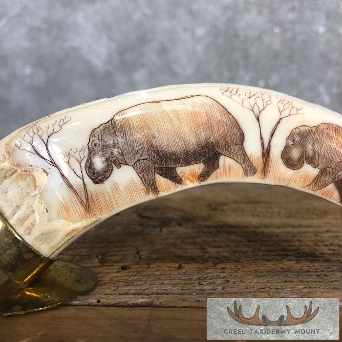 Scrimshaw Warthog Tooth Safari Decor For Sale - Image 3