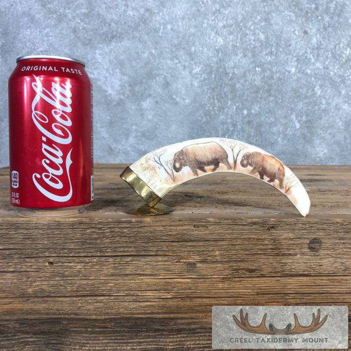 Scrimshaw Warthog Tooth Safari Decor For Sale - Image 2