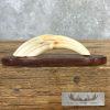 Scrimshaw Warthog Tooth Safari Decor For Sale - Image 5