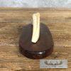 Scrimshaw Warthog Tooth Safari Decor For Sale - Image 7