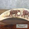 Scrimshaw Warthog Tooth Safari Decor For Sale - Image 3