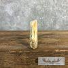 Scrimshaw Warthog Tooth Safari Decor For Sale - Image 7