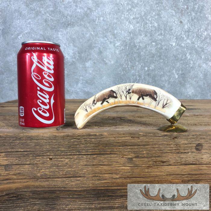 Scrimshaw Warthog Tooth Safari Decor For Sale - Image 2