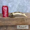 Scrimshaw Hippopotamus Tooth Safari Decor For Sale - Image 2