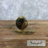 Scrimshaw Hippopotamus Tooth Safari Decor For Sale - Image 8
