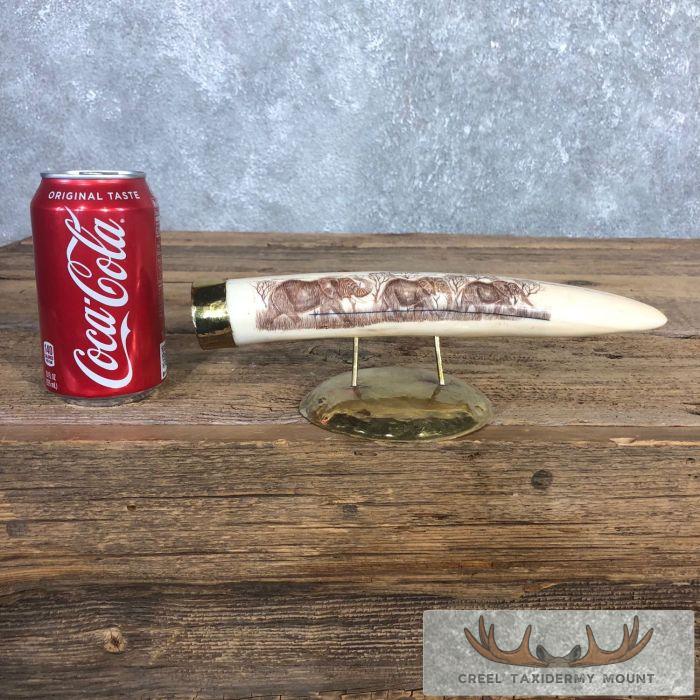 Scrimshaw Hippopotamus Tooth Safari Decor For Sale - Image 2