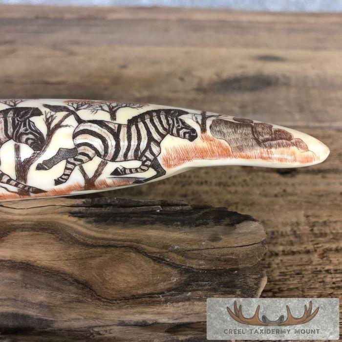 Scrimshaw Hippopotamus Tooth Safari Decor For Sale - Image 5