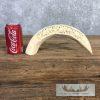 Carved Hippopotamus Tooth Safari Decor For Sale - Image 3
