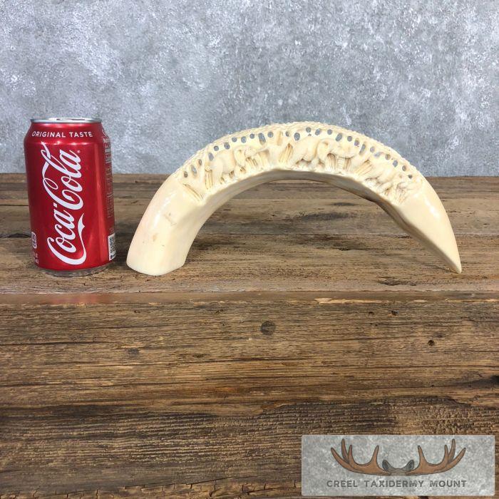 Carved Hippopotamus Tooth Safari Decor For Sale - Image 3