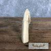 Carved Hippopotamus Tooth Safari Decor For Sale - Image 9
