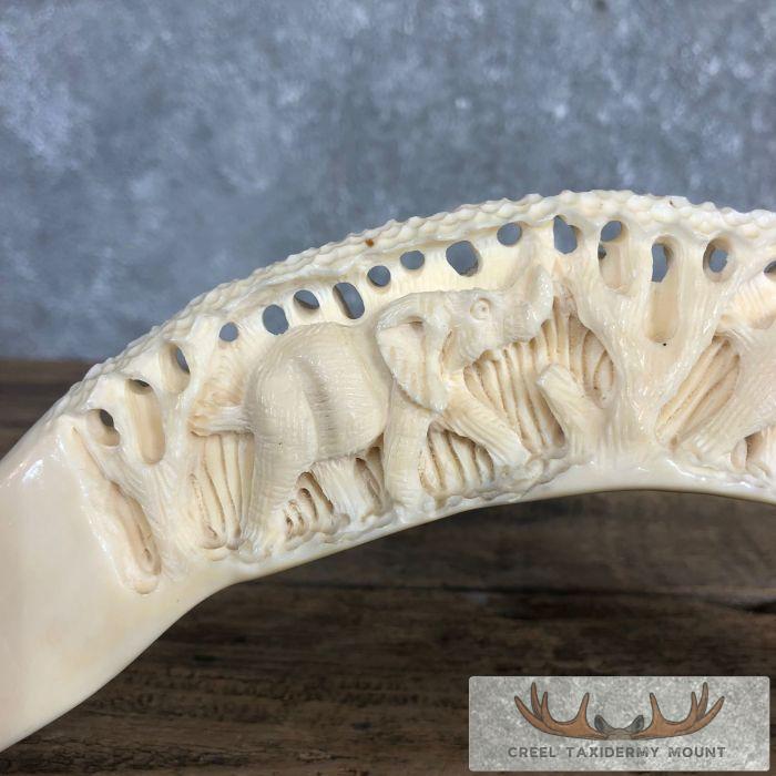 Carved Hippopotamus Tooth Safari Decor For Sale - Image 4
