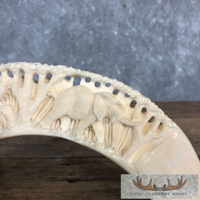 Carved Hippopotamus Tooth Safari Decor For Sale - Image 6
