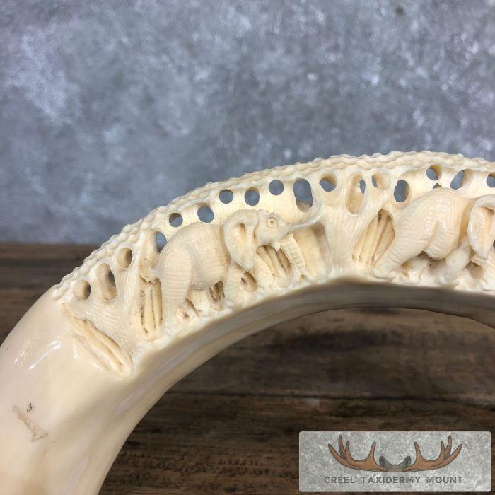 Carved Hippopotamus Tooth Safari Decor For Sale - Image 5