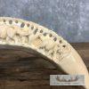 Carved Hippopotamus Tooth Safari Decor For Sale - Image 8