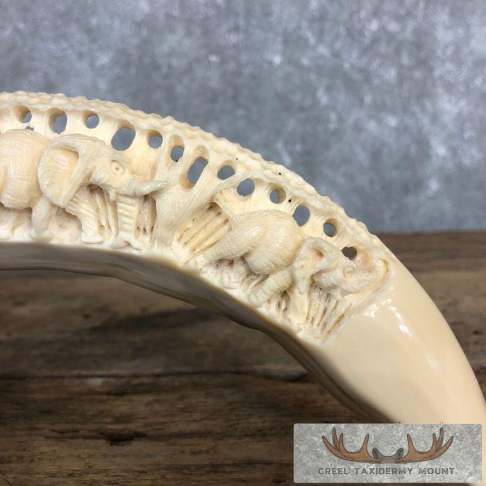 Carved Hippopotamus Tooth Safari Decor For Sale - Image 8