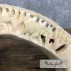 Carved Hippopotamus Tooth Taxidermy Mount For Sale - Image 9