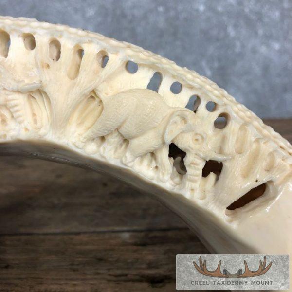 Carved Hippopotamus Tooth Taxidermy Mount For Sale - Image 9