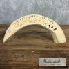 Carved Hippopotamus Tooth Taxidermy Mount For Sale - Image 2