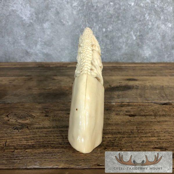 Carved Hippopotamus Tooth Taxidermy Mount For Sale - Image 11