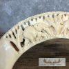 Carved Hippopotamus Tooth Taxidermy Mount For Sale - Image 4