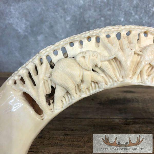 Carved Hippopotamus Tooth Taxidermy Mount For Sale - Image 4