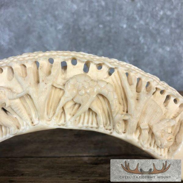 Carved Hippopotamus Tooth Taxidermy Mount For Sale - Image 5
