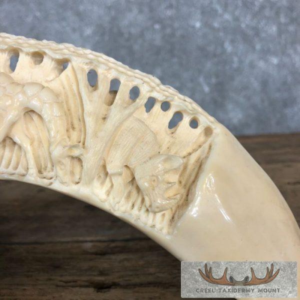 Carved Hippopotamus Tooth Taxidermy Mount For Sale - Image 6