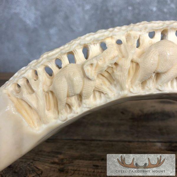 Carved Hippopotamus Tooth Taxidermy Mount For Sale - Image 7