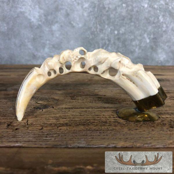 Carved Warthog Tooth Safari Decor For Sale - Image 2