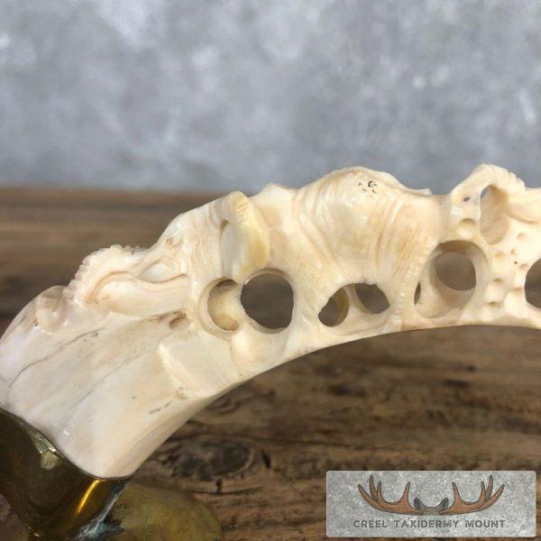 Carved Warthog Tooth Safari Decor For Sale - Image 4